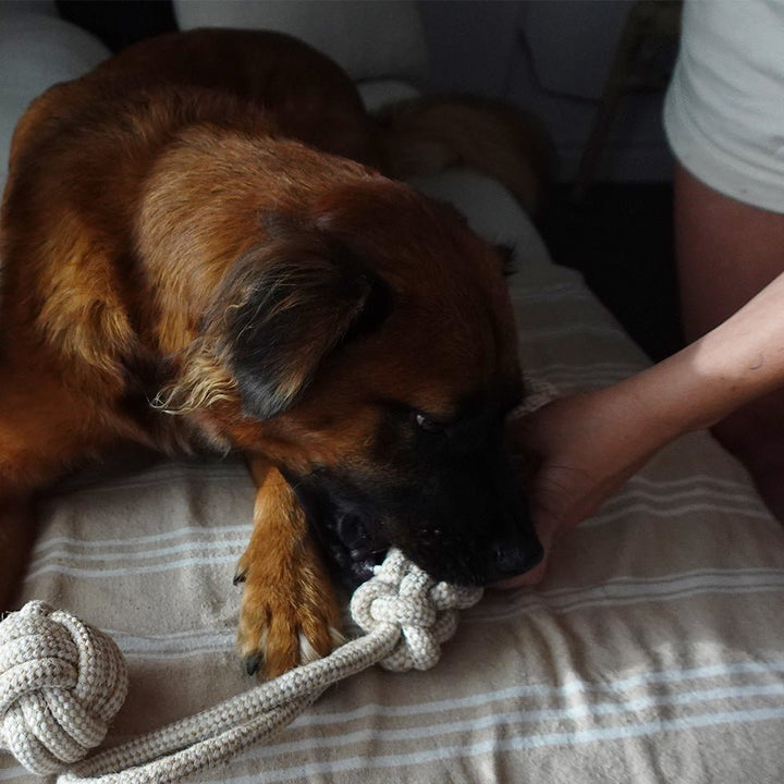 Handcrafted Organic Hemp Rope Dog Tug Toy