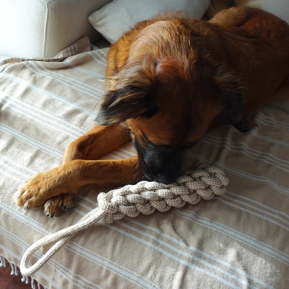 Handcrafted Organic Hemp Rope Dog Tug Toy