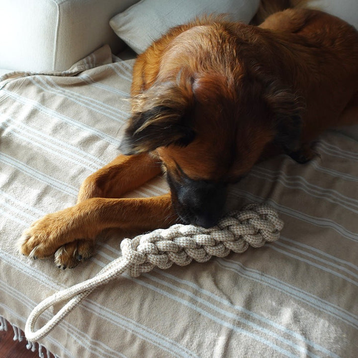 Handcrafted Organic Hemp Rope Dog Tug Toy