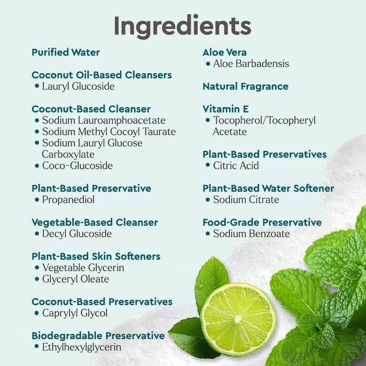 Biodegradable Plant-Based Foaming Hand Soap, 12 oz.