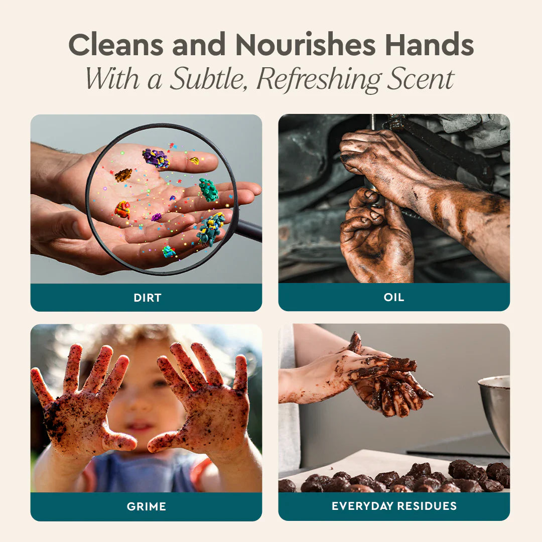 Biodegradable Plant-Based Foaming Hand Soap, 12 oz.