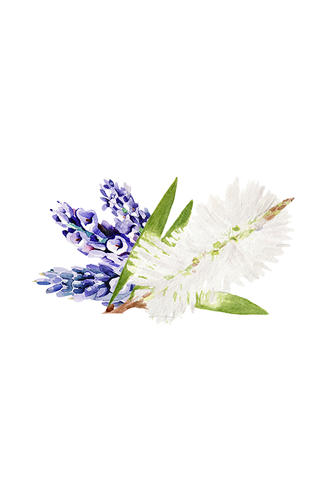 Vegan Lavender &amp; Tea Tree pH-Balanced Body Wash