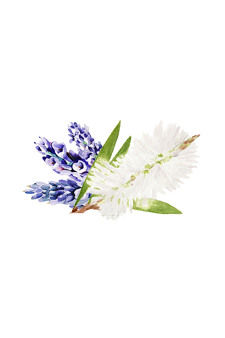 Vegan Lavender &amp; Tea Tree pH-Balanced Body Wash