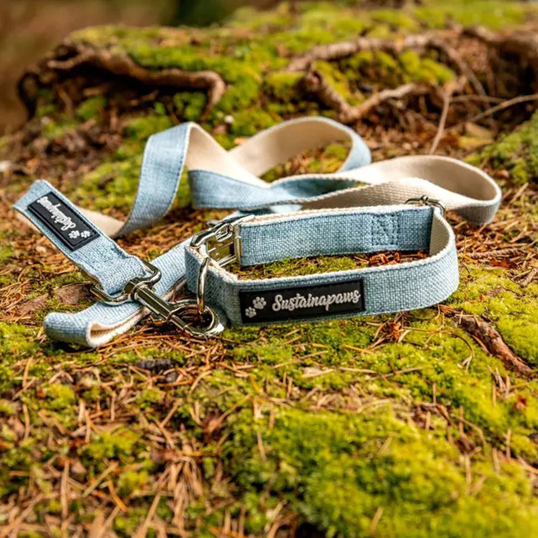 Organic Hemp &amp; Cotton Adjustable Dog Lead, Large, 5 ft.