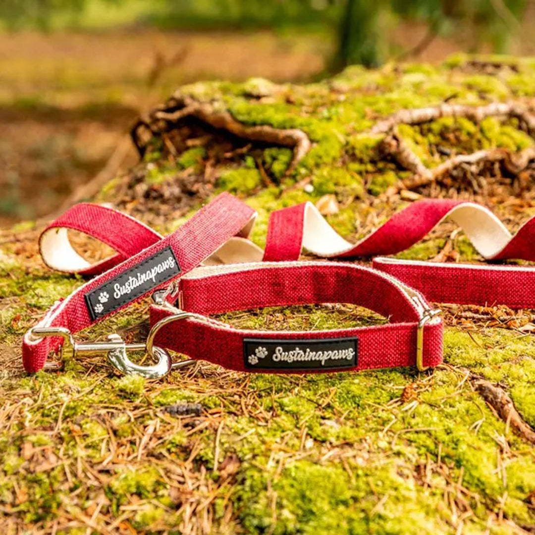 Organic Hemp &amp; Cotton Adjustable Dog Lead, Large, 5 ft.