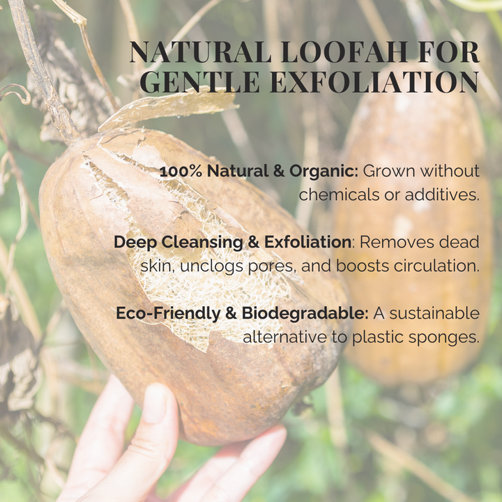 Organic Biodegradable Loofah Exfoliating Sponge 6"