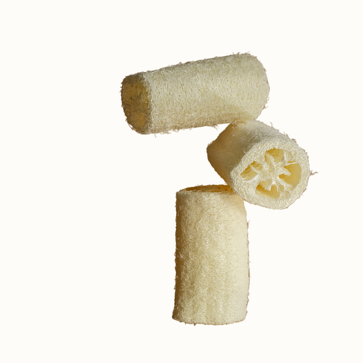 Organic Biodegradable Loofah Exfoliating Sponge 6"