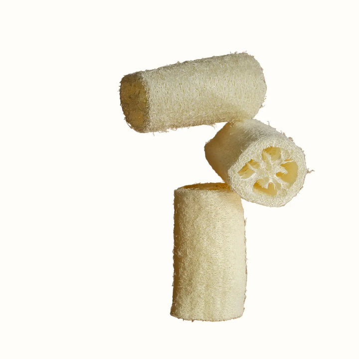 Loofah Body Sponge 6 Inch
