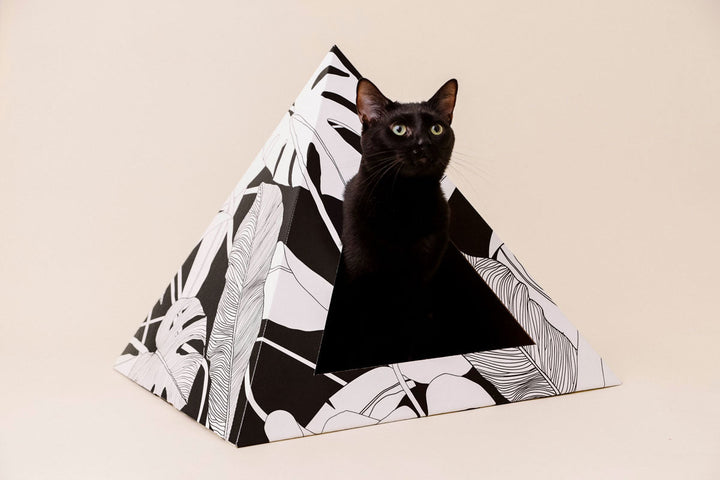 Recycled Cardboard Cat Pyramid, Dark Paradise