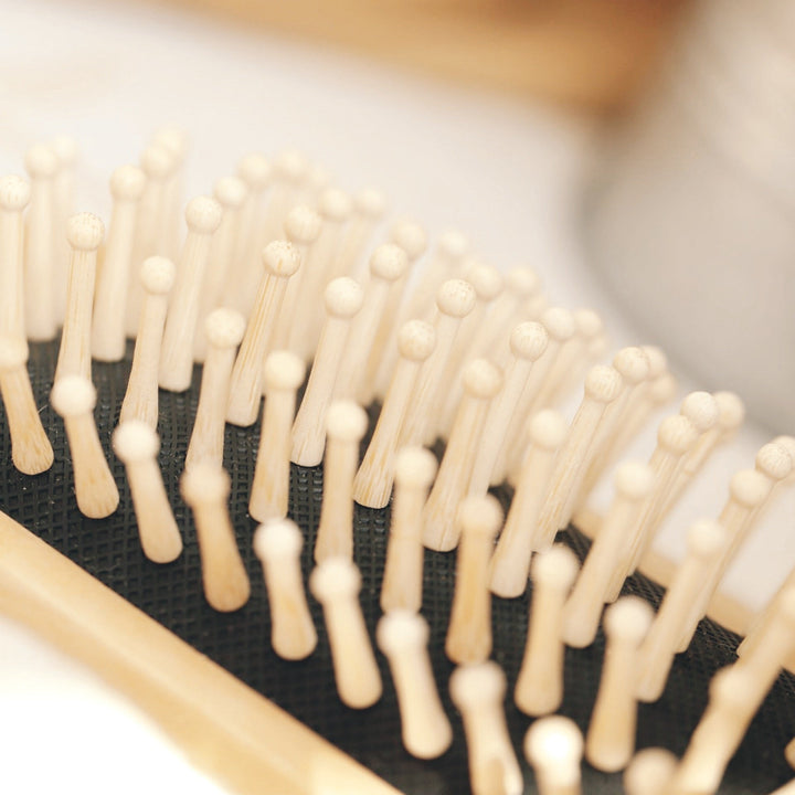 Biodegradable Bamboo Natural Bristle Hair Brush