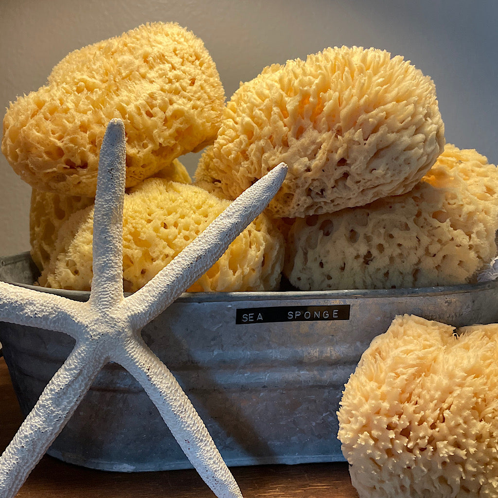 Biodegradable Natural Sea Sponge, Hypoallergenic