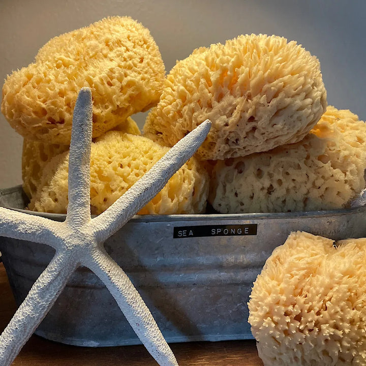 Natural Sea Sponge Bath Set