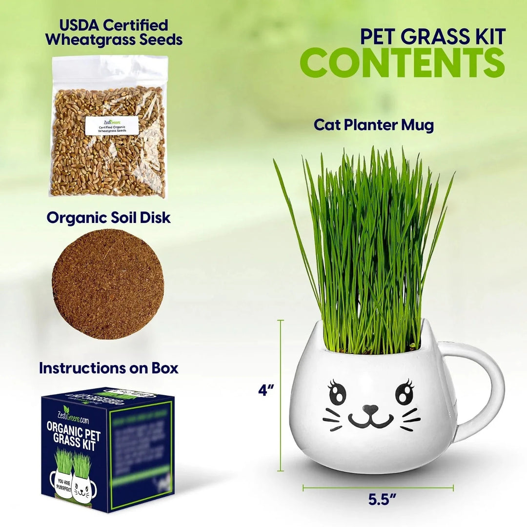 Organic Ceramic Wheat Grass Growing Kit Default Title PET CARE ZESTIGREENS Solar &amp; Sprout