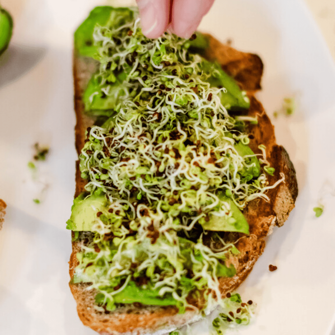 Organic Non-GMO Broccoli Sprouting Starter Kit, 4 oz.