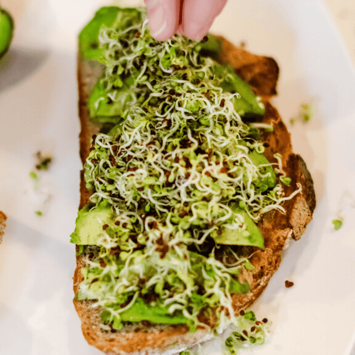 Organic Non-GMO Broccoli Sprouting Starter Kit, 4 oz.