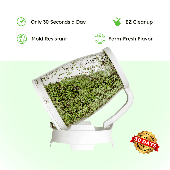 Organic Non-GMO Broccoli Sprouting Starter Kit, 4 oz.