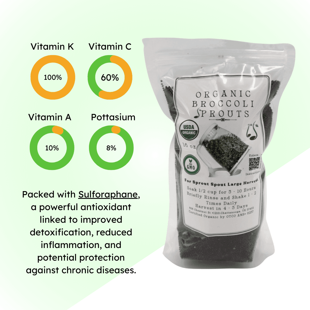 Organic Non-GMO Broccoli Sprouting Starter Kit, 4 oz.