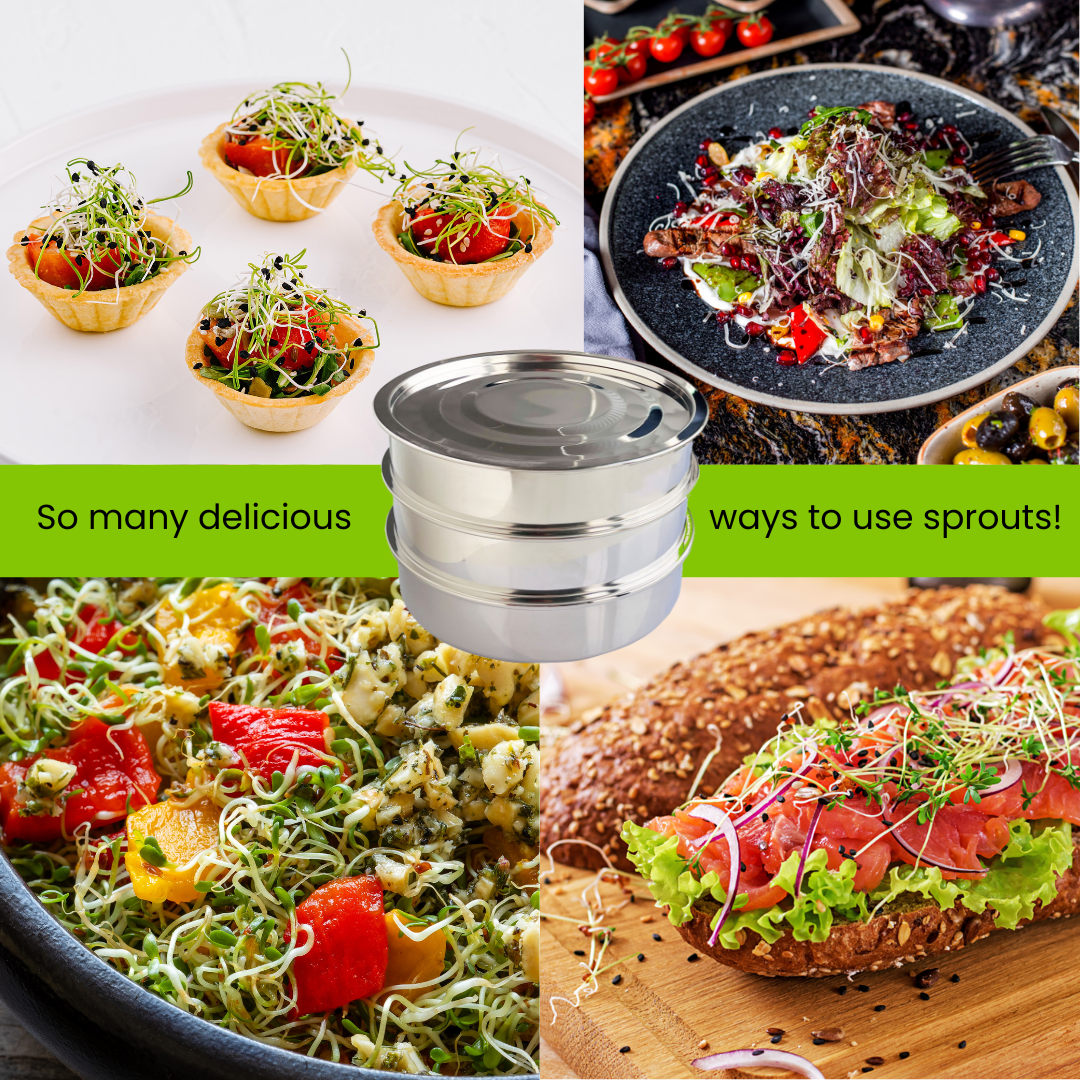 Food-Grade Stainless Steel Stackable 3-Tier Sprouting Kit