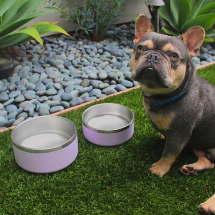 Non-Slip Stainless Steel Pet Bowl