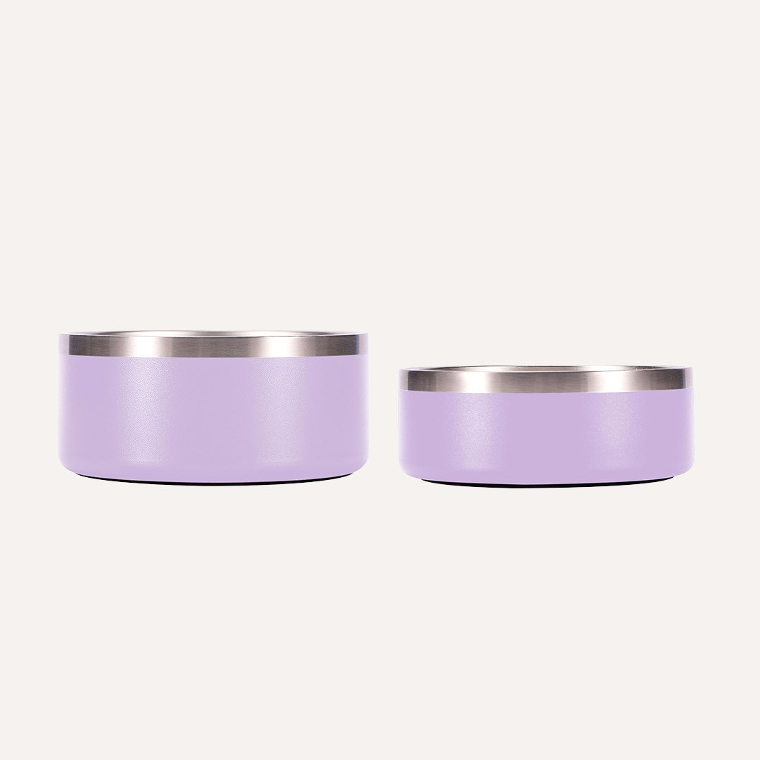 Non-Slip Stainless Steel Pet Bowl
