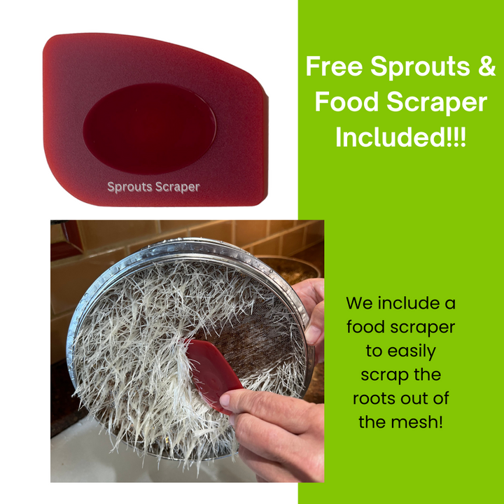 Food-Grade Stainless Steel Stackable 3-Tier Sprouting Kit