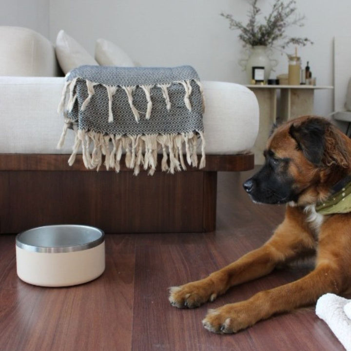 Non-Slip Stainless Steel Pet Bowl