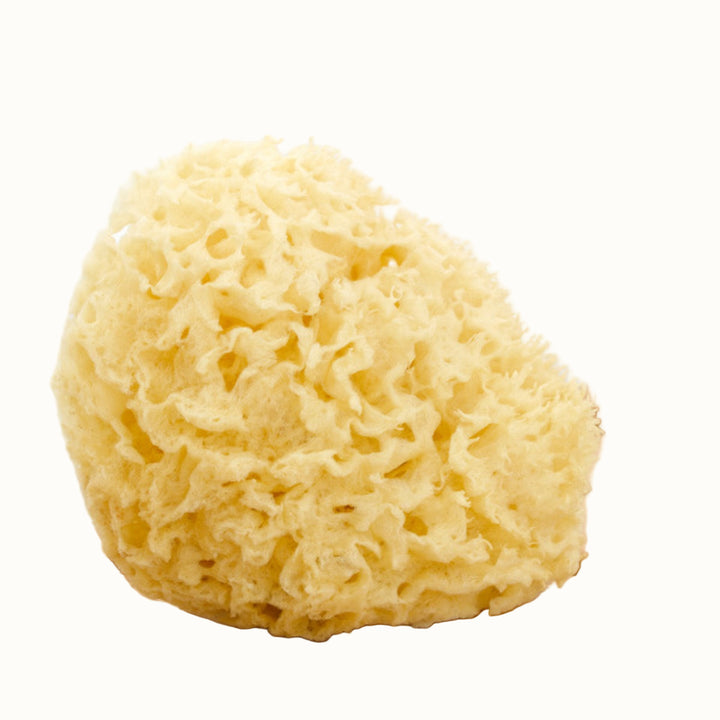 Biodegradable Natural Sea Sponge, Hypoallergenic