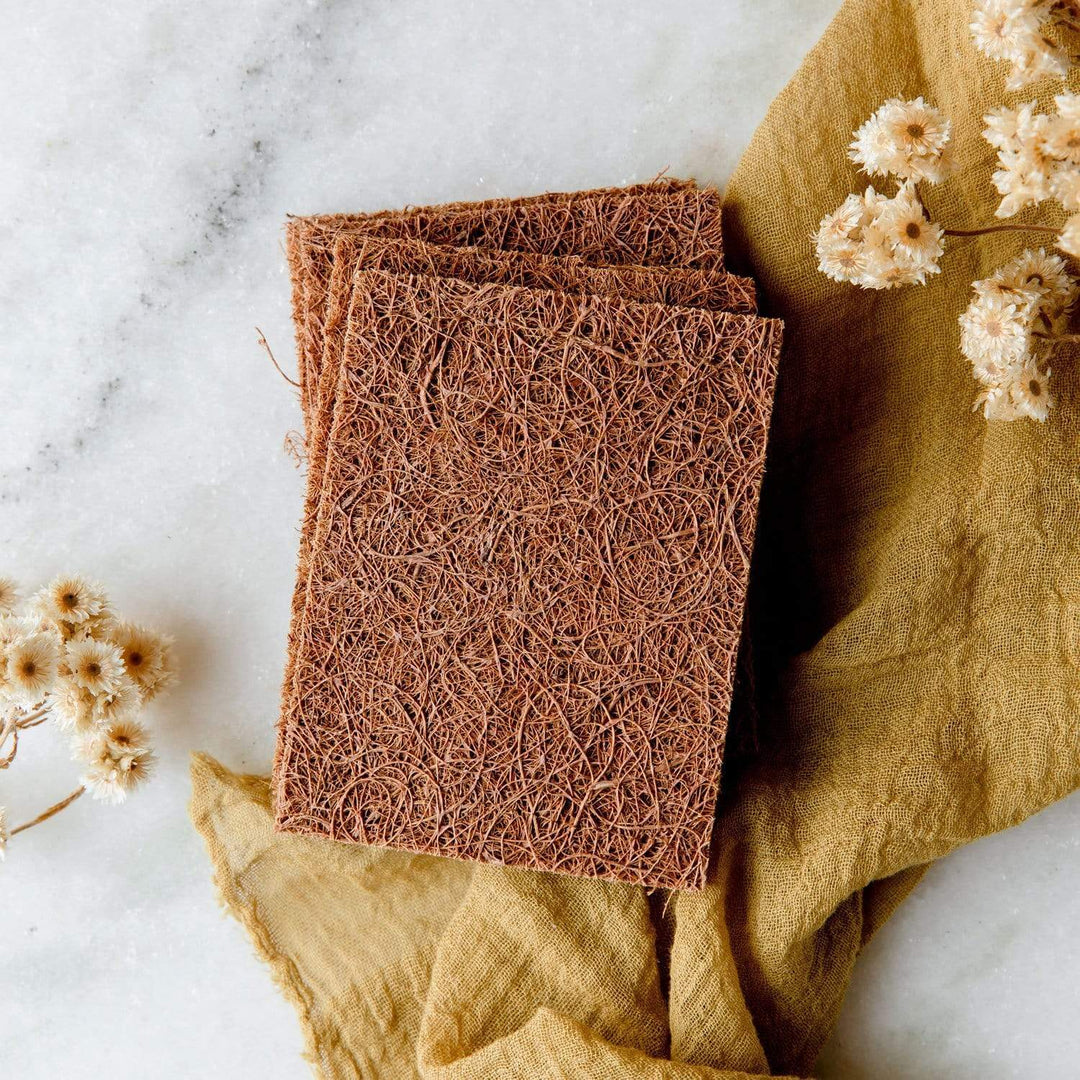 Biodegradable Coconut Coir Kitchen Scourers, 5 Ct.