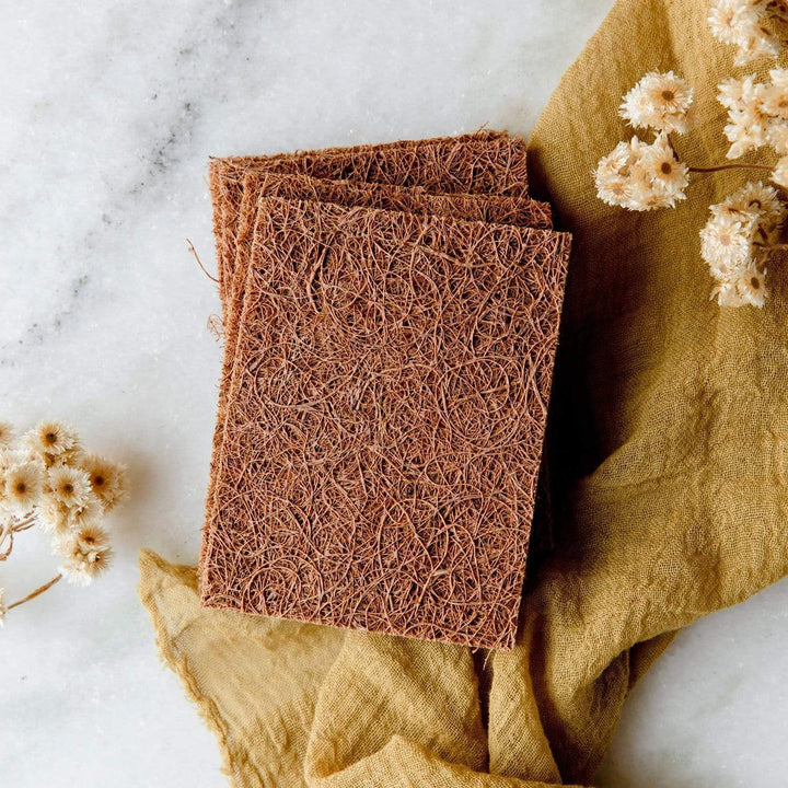 Biodegradable Coconut Coir Kitchen Scourers, 5 Ct.