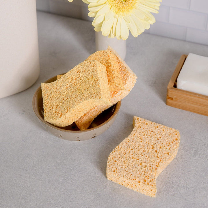 Biodegradable Wood Pulp Kitchen Sponges, 4 Ct.