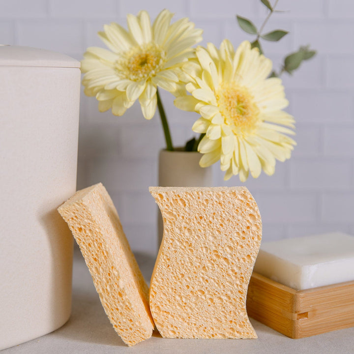 Biodegradable Wood Pulp Kitchen Sponges, 4 Ct.