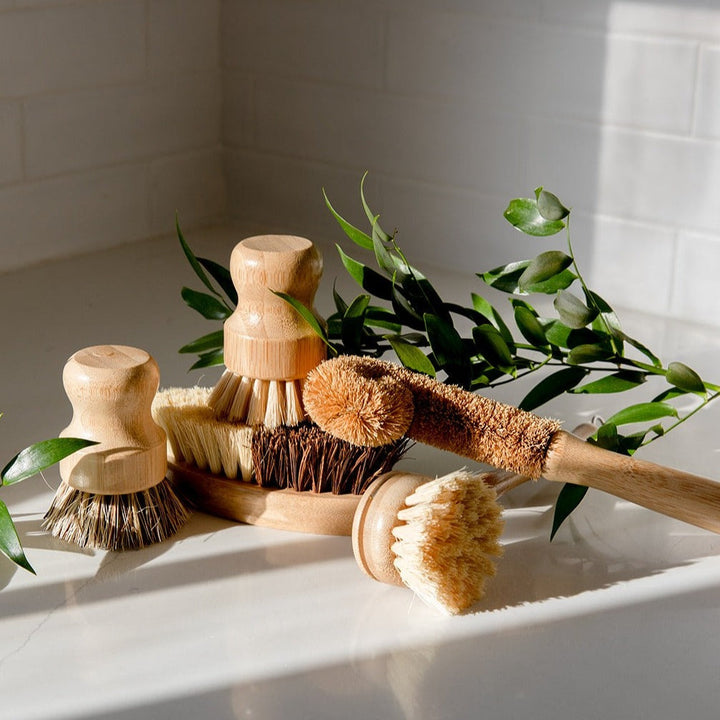 Biodegradable Plant-Fiber Dish Brush Kit, 5 Ct.