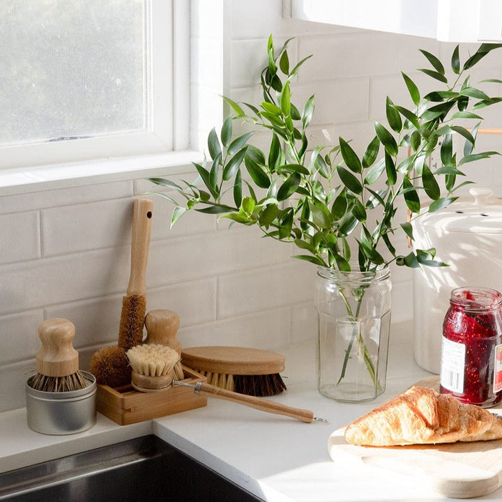 Biodegradable Plant-Fiber Dish Brush Kit, 5 Ct.