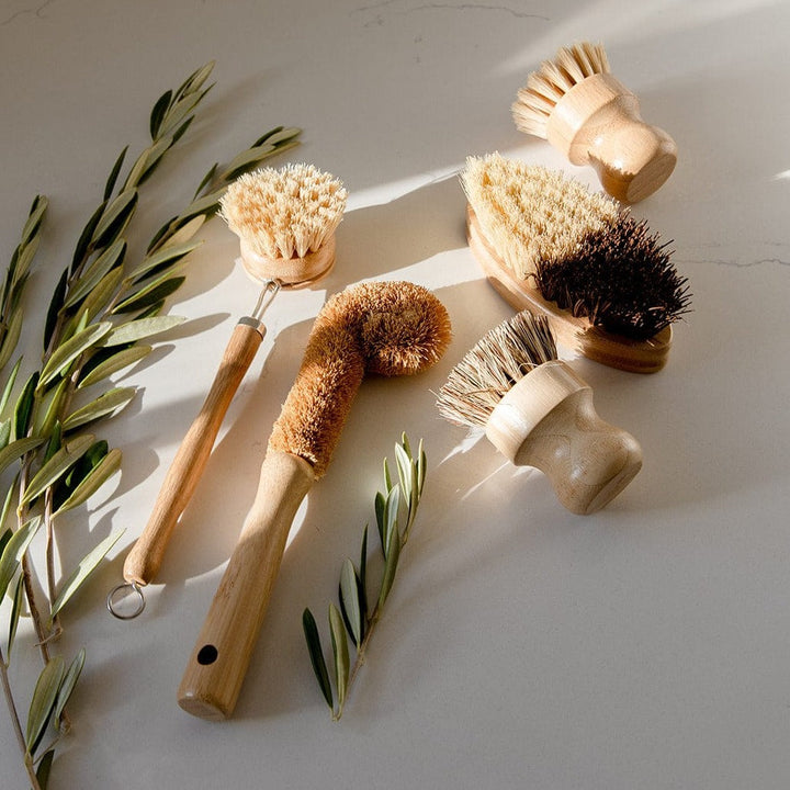 Biodegradable Plant-Fiber Dish Brush Kit, 5 Ct.