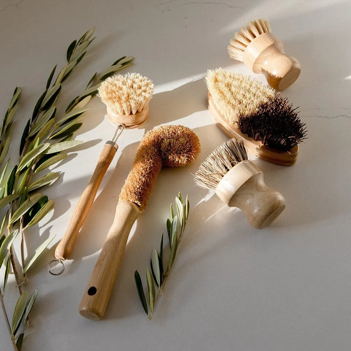 Agave Dish Brush Cleaning Kit