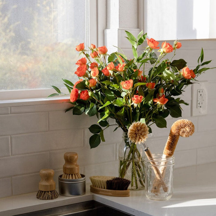 Biodegradable Plant-Fiber Dish Brush Kit, 5 Ct.