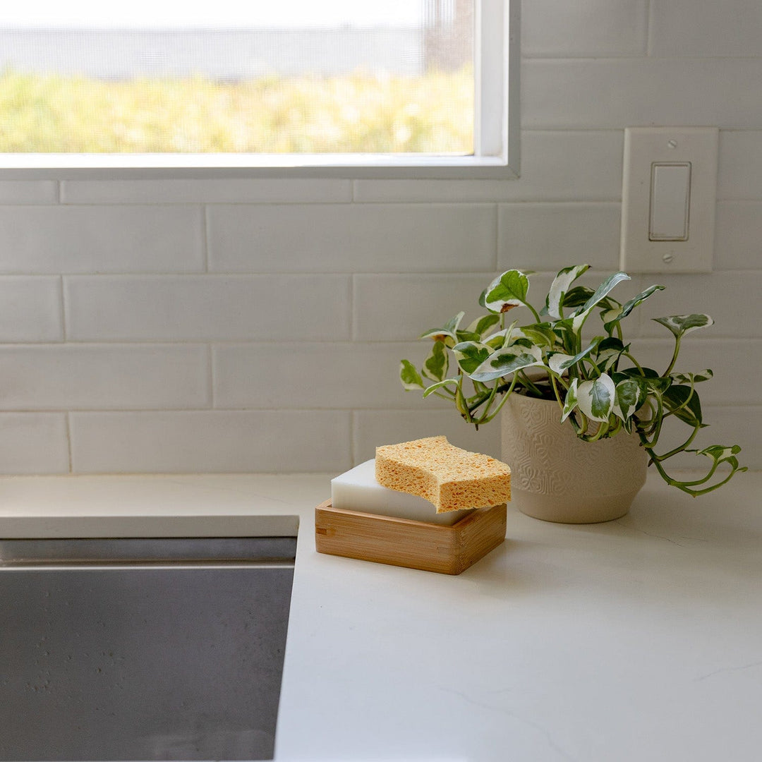 Biodegradable Wood Pulp Kitchen Sponges, 4 Ct.