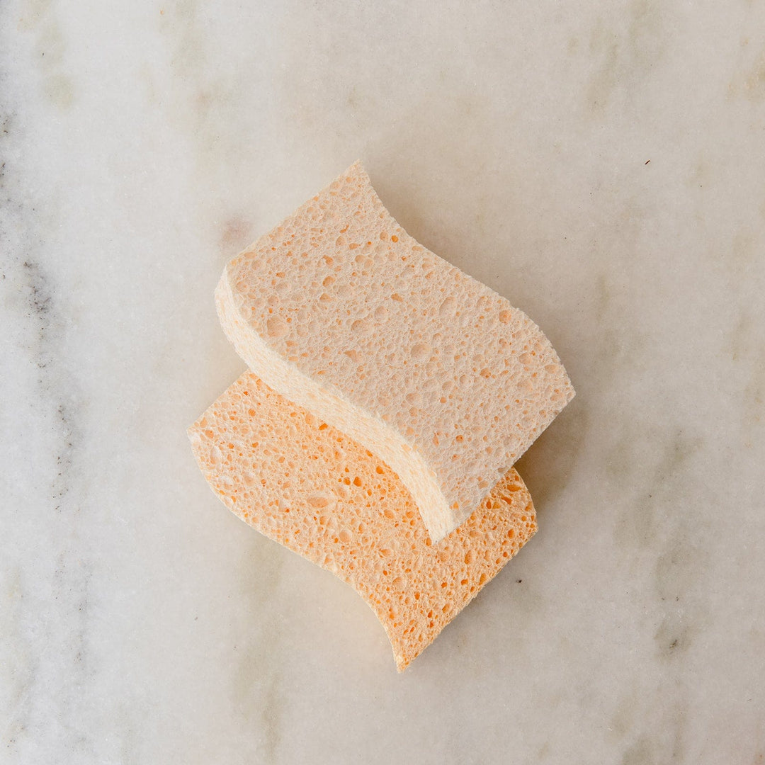 Biodegradable Wood Pulp Kitchen Sponges, 4 Ct.