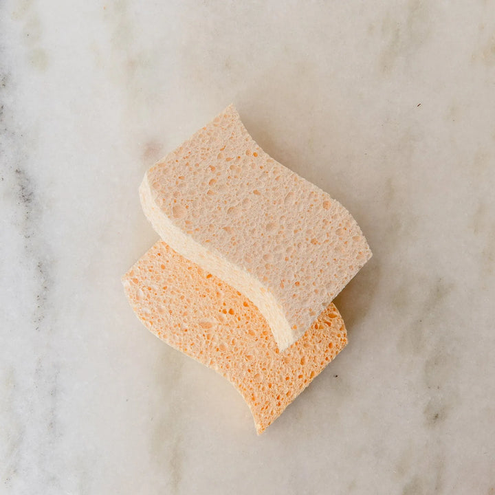 Wood Pulp Kitchen Sponge Set