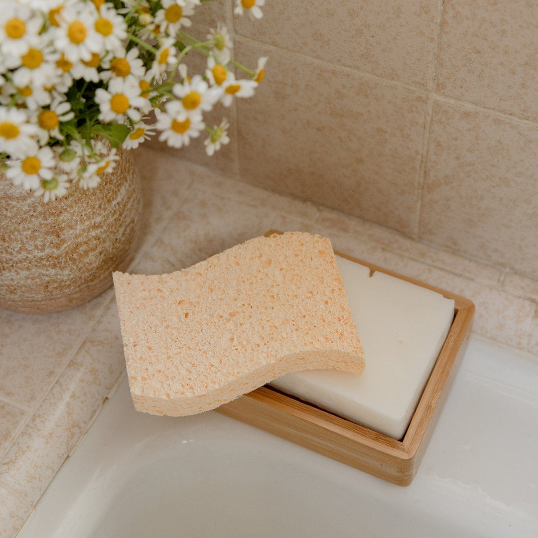 Biodegradable Wood Pulp Kitchen Sponges, 4 Ct.
